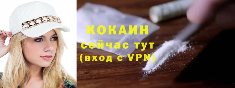 COCAIN FishScale  где купить   Светлоград 